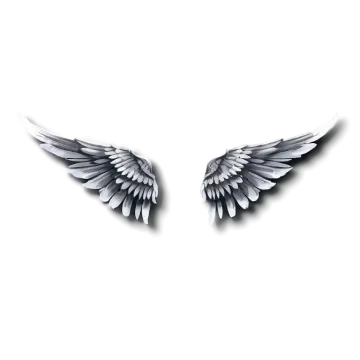 a pair of wings on a white background