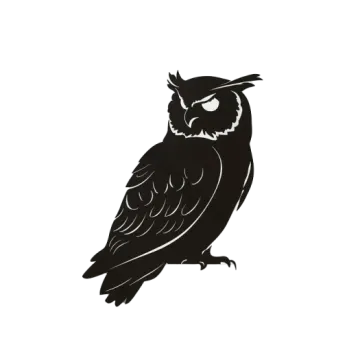 an owl silhouetted on a white background