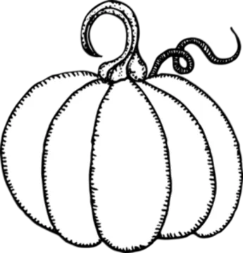 a black and white drawing of a pumpkin