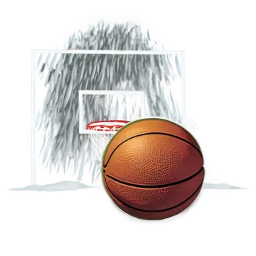 a basketball ball in a clear bag