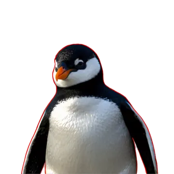 a close up of a penguin on a white background