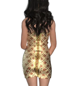 a woman wearing a gold and red dress
