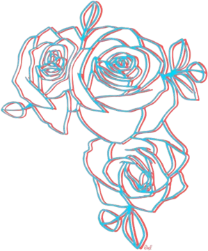 how to draw roses step by step