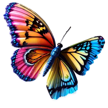a colorful butterfly on a white background