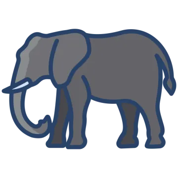 an elephant standing on a white background