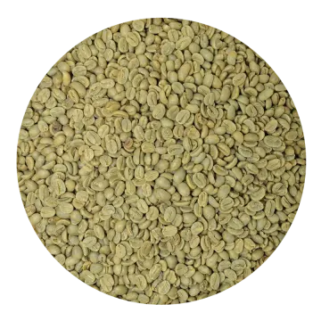 a pile of green coffee beans