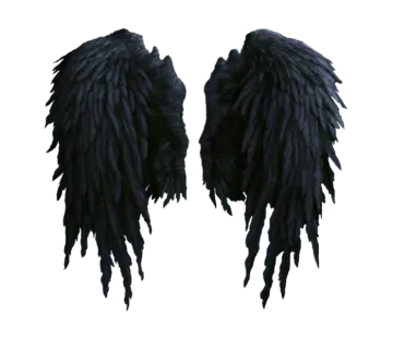 two black wings on a white background