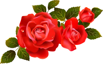 a bunch of red roses with green leaves