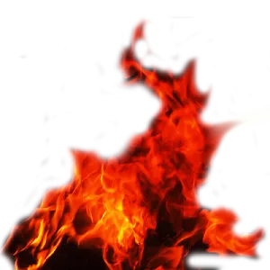 fire on a white background