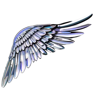 a black and white wing on a white background