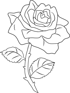 free printable rose coloring pages