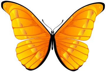 a yellow butterfly on white background
