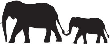 an elephant and her baby walking together