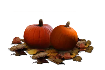 two pumpkins sitting on a pile of leaves