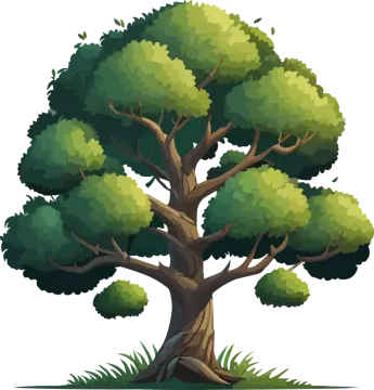 a tree on a white background