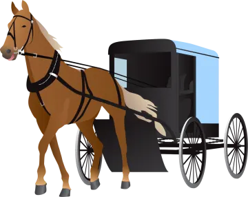 a horse pulling a carriage