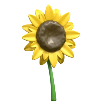 a yellow sunflower on a white background