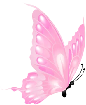 a pink butterfly on white background