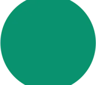 a green circle on a white background