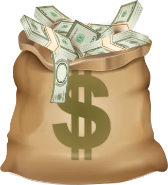 a bag full of money