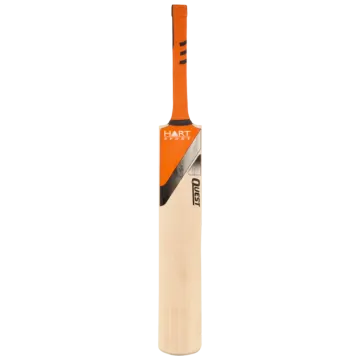 a cricket bat on a white background
