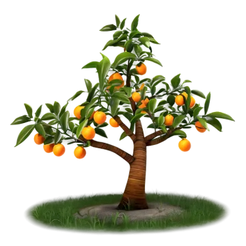 a tree with oranges growing on it