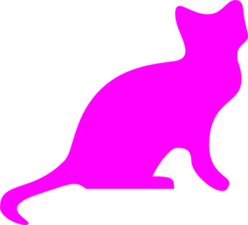 a black cat silhouetted on a white background