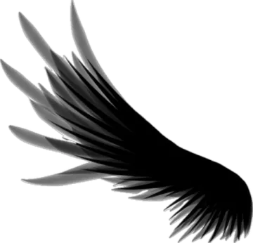 a black and white drawing of an angel wing