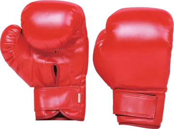 a pair of boxing gloves