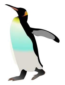 an image of a penguin on a white background
