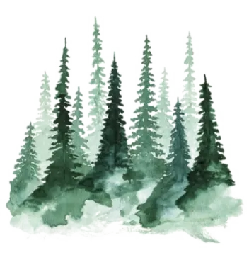 a watercolor painting of trees in the woods