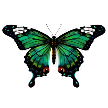 a green butterfly on a white background