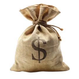 a bag of money on a white background