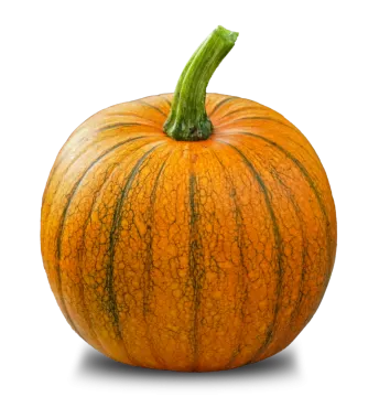 an orange pumpkin on a white background