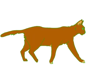 a drawing of a cat on a white background