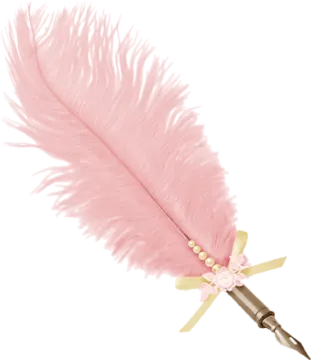 a pink feather on a white background
