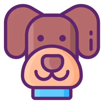 a brown dog with a blue collar