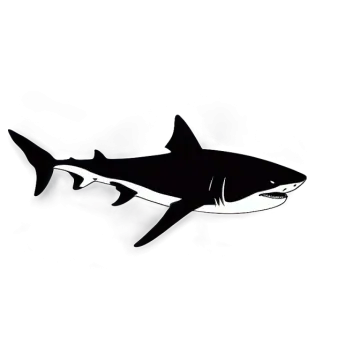 a black and white image of a shark