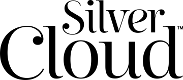the silver cloud logo
