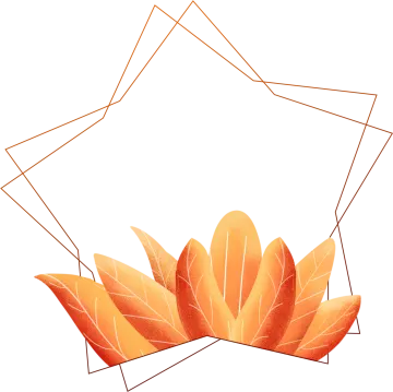 an illustration of leaves with a white background