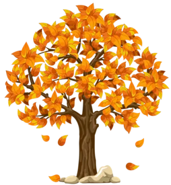 a tree with orange leaves on it