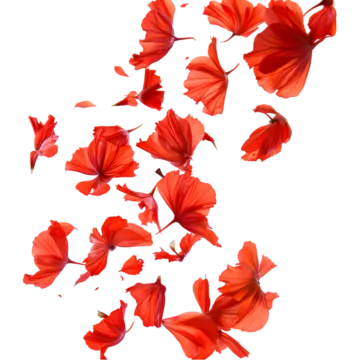 a bunch of red flowers floating in the air