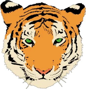a tiger's face with green eyes