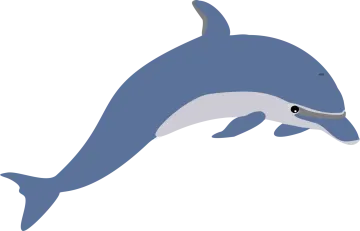 a dolphin jumping in the air