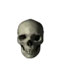 an image of a skull on a white background