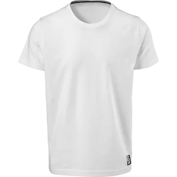 men's v - neck t - shirt