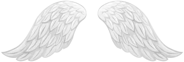 two white angel wings on a white background