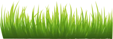 green grass clipart png