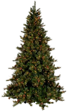 a christmas tree with lights on it