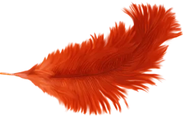 a red feather on a white background